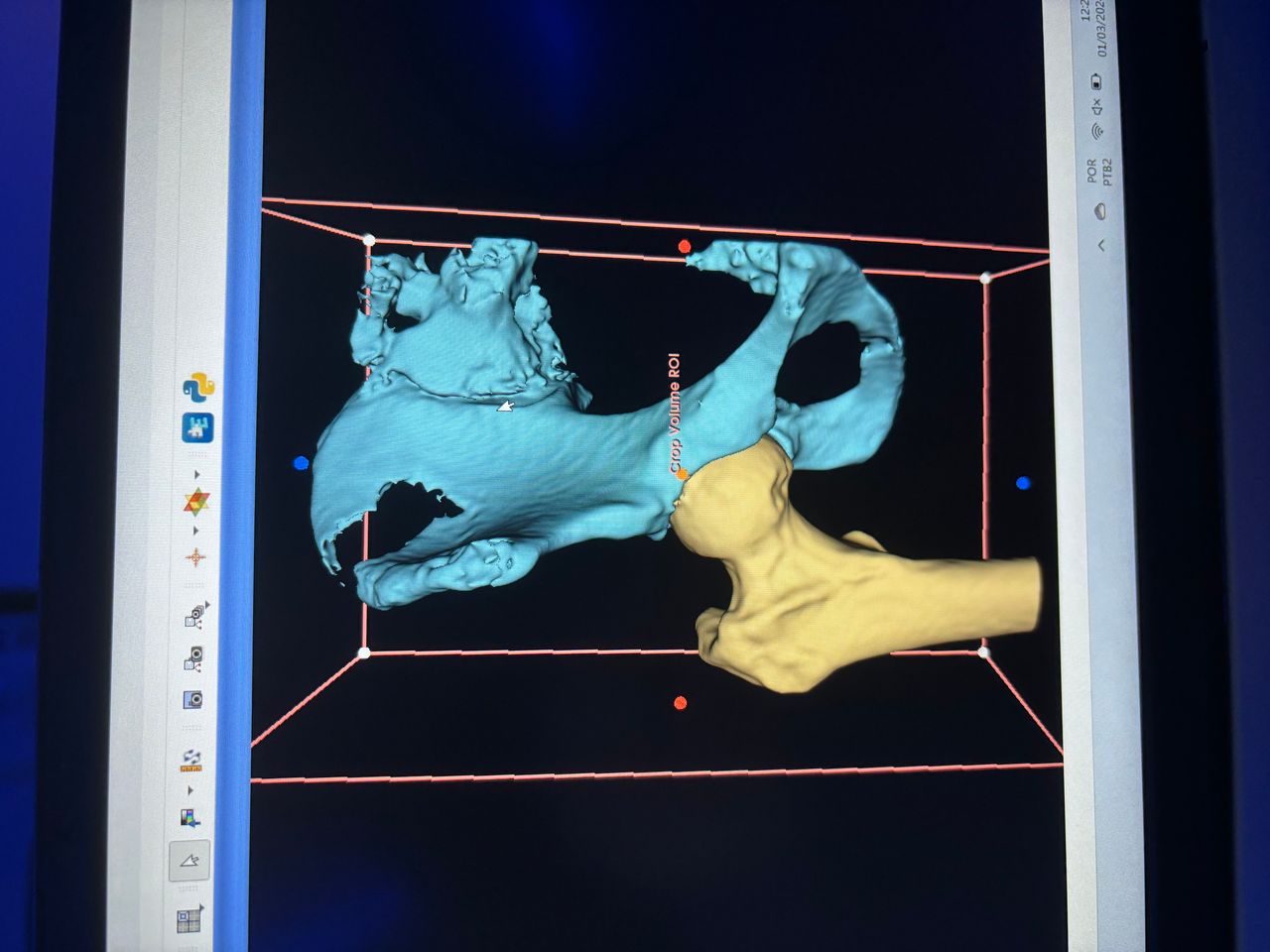 Ricardo Augusto Skroch-0
