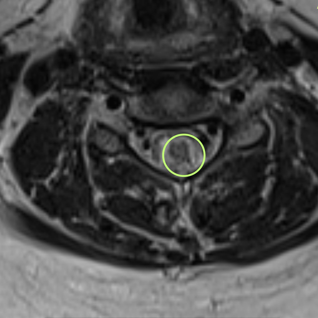 David Tafur Muñoz-1728