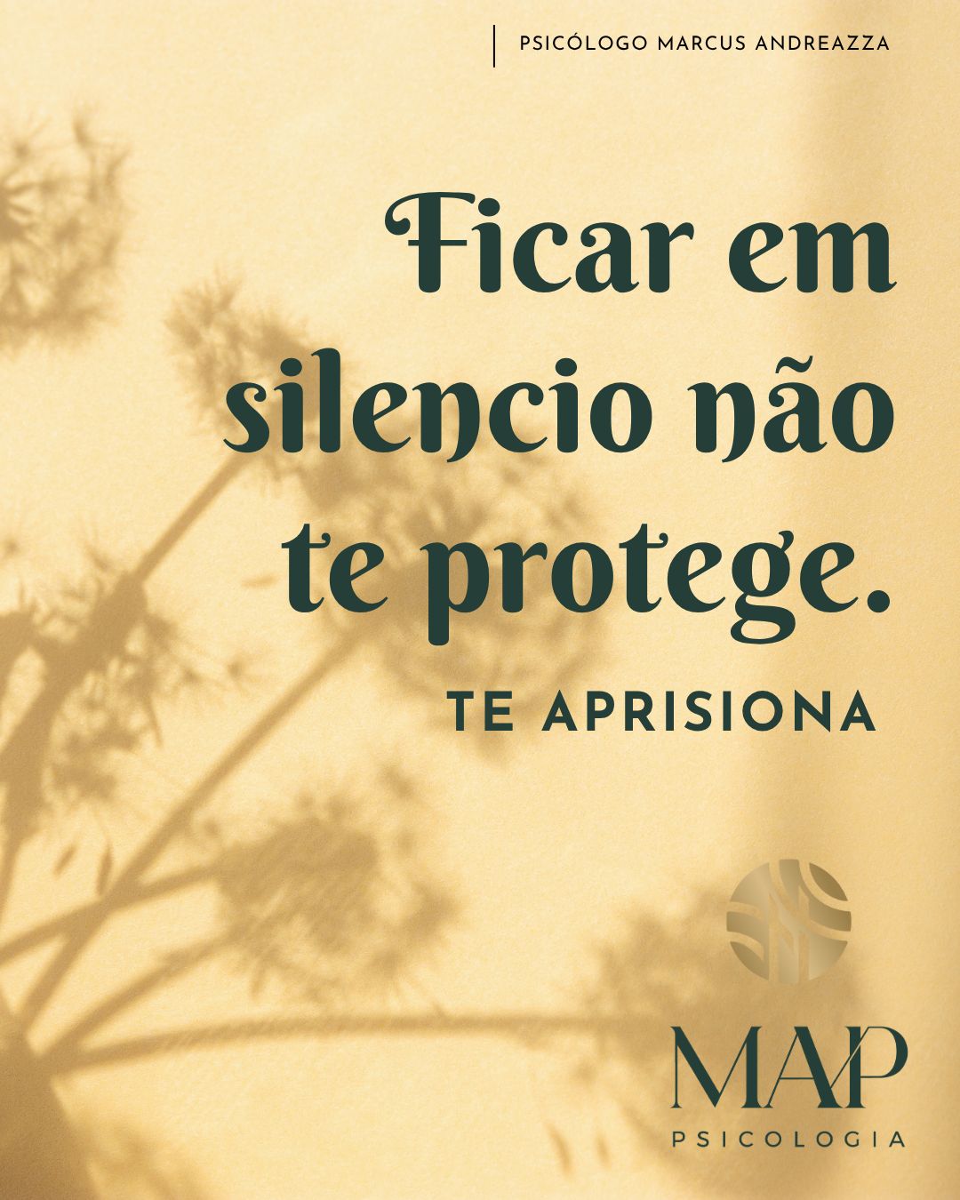 Marcus Felipe Andreazza-5