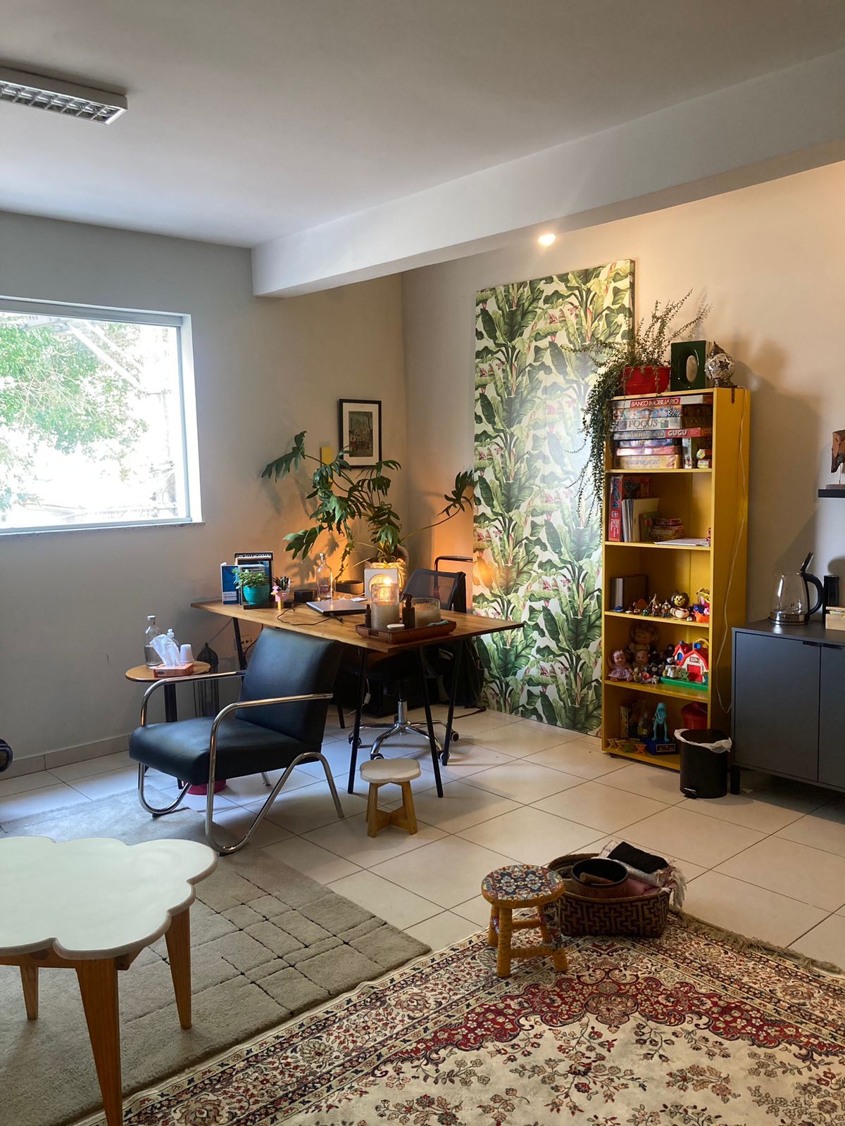 Fernanda Draganov Gelesko-1