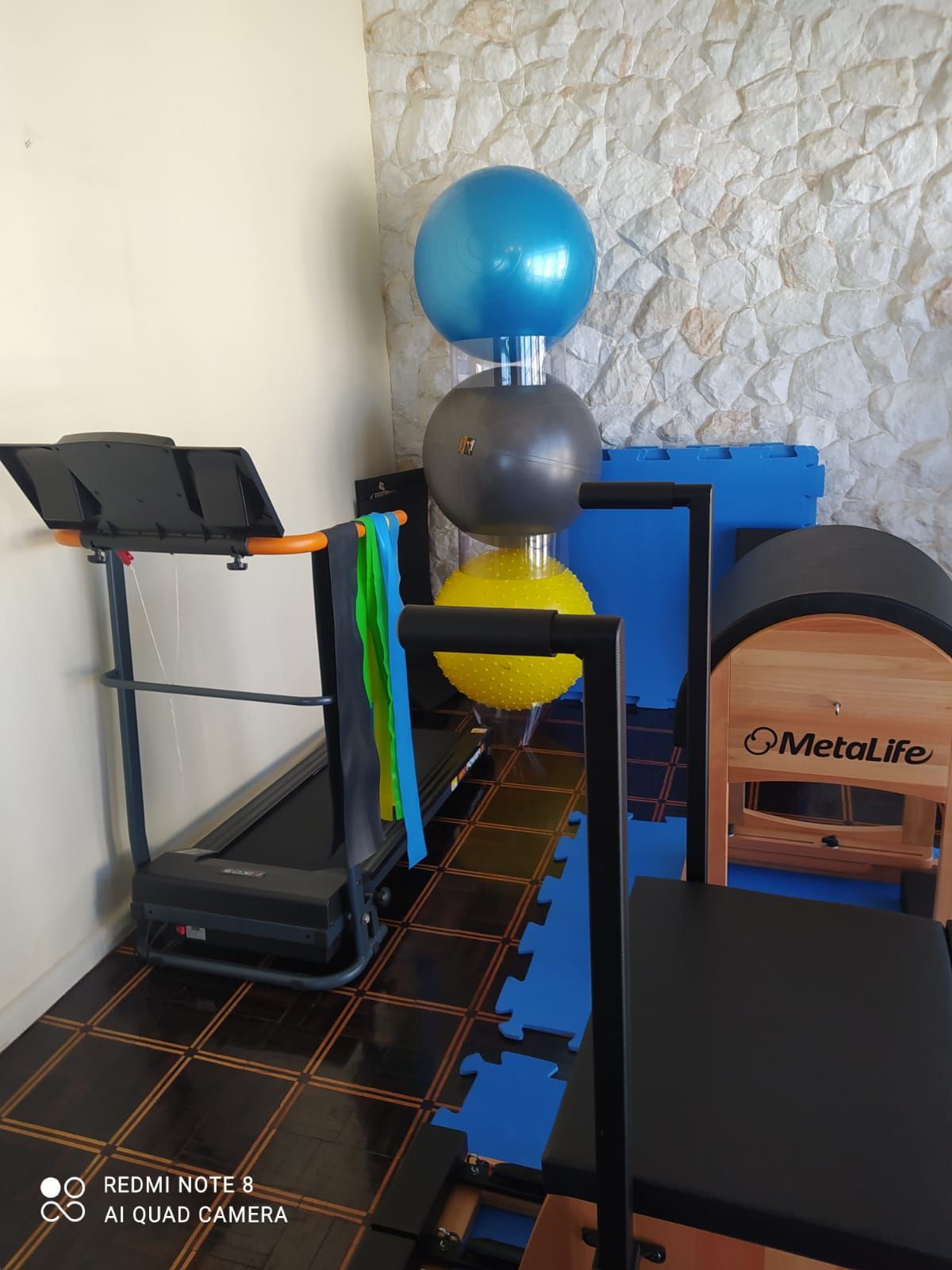 Célia Regina Fróes-2