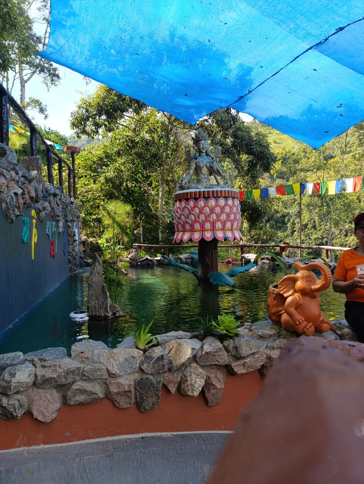 Martha Cecilia Vesga De Olsson-1