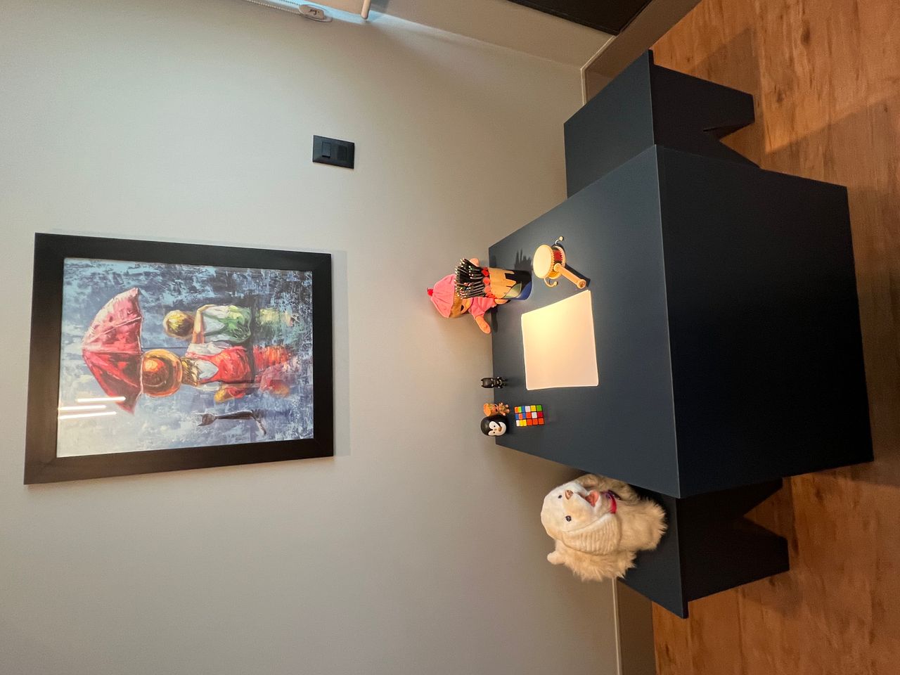 Gustavo Flauber Almeida Silva-0