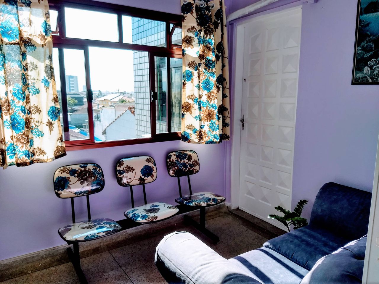 Nelson Carneiro De Araújo Facchini Júnior-8