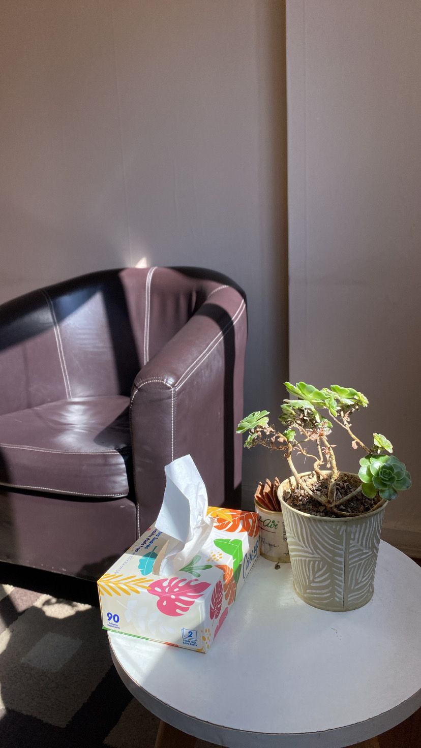 Javiera Cifuentes Meza-5