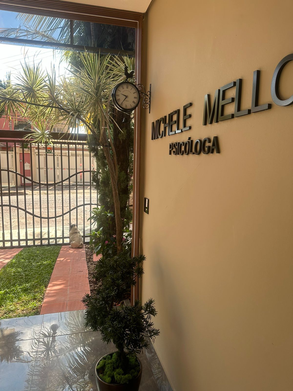 Michele Mello Da Silva Almeida-5