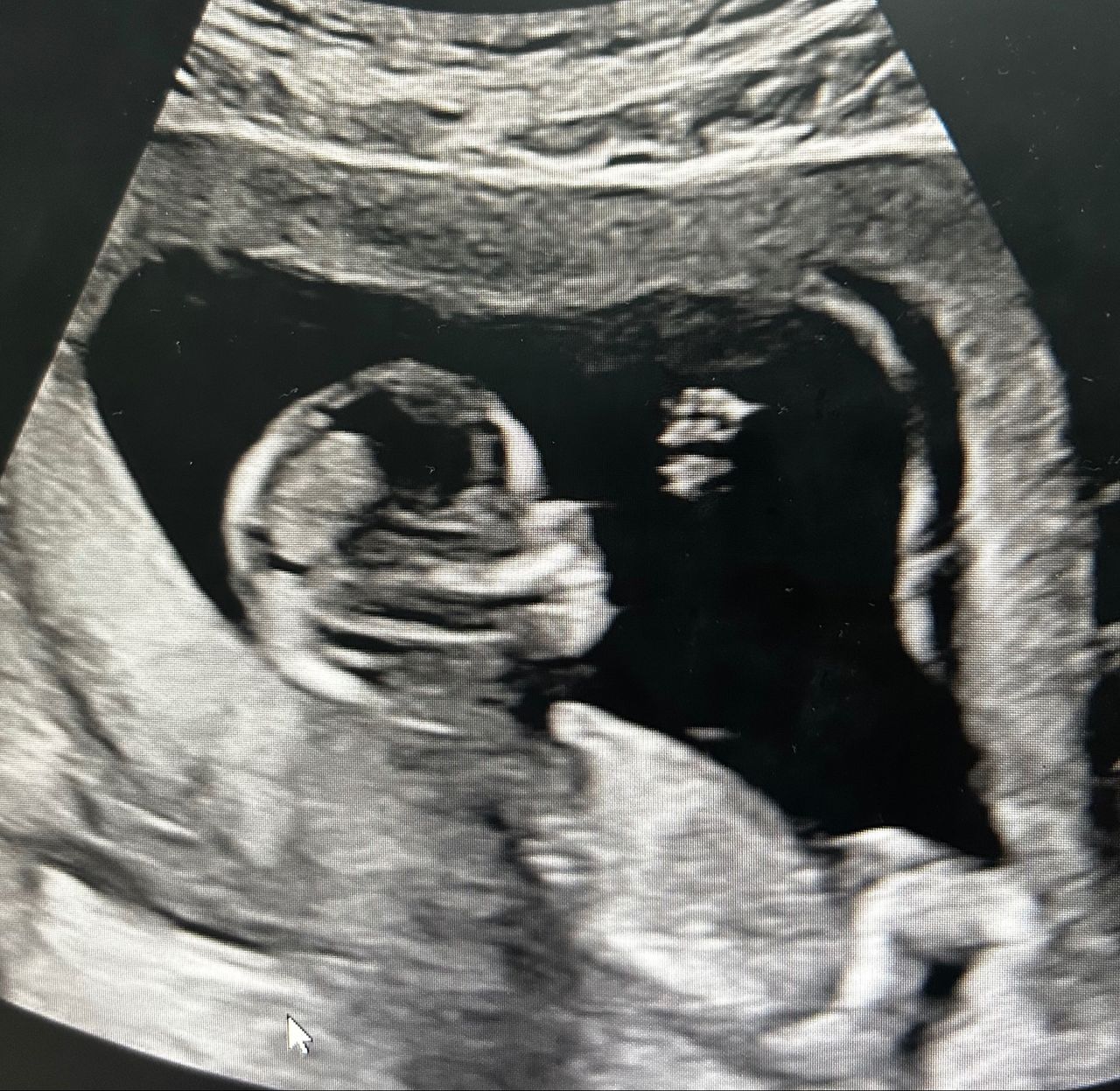 Lissa  Okamura Asada-1