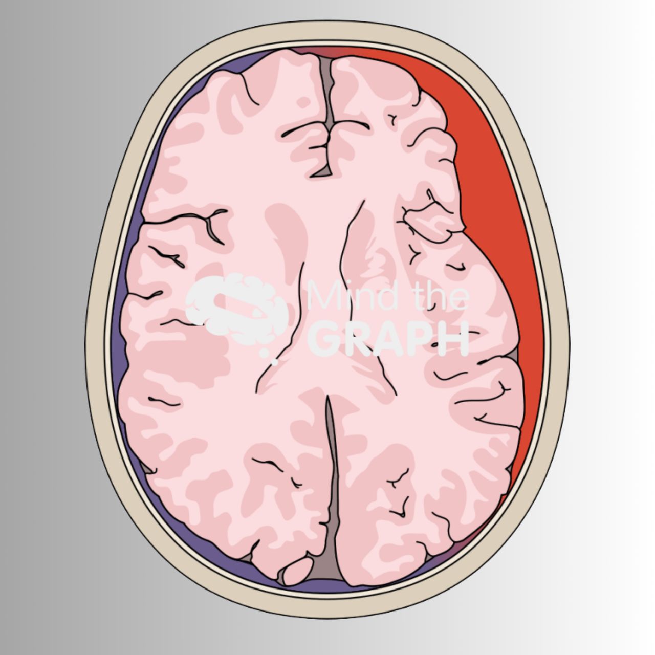 David Tafur Muñoz-1310