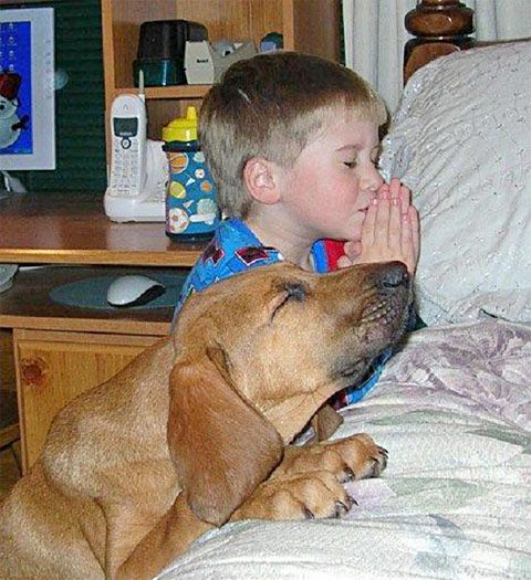 Fátima Maria Alves-0