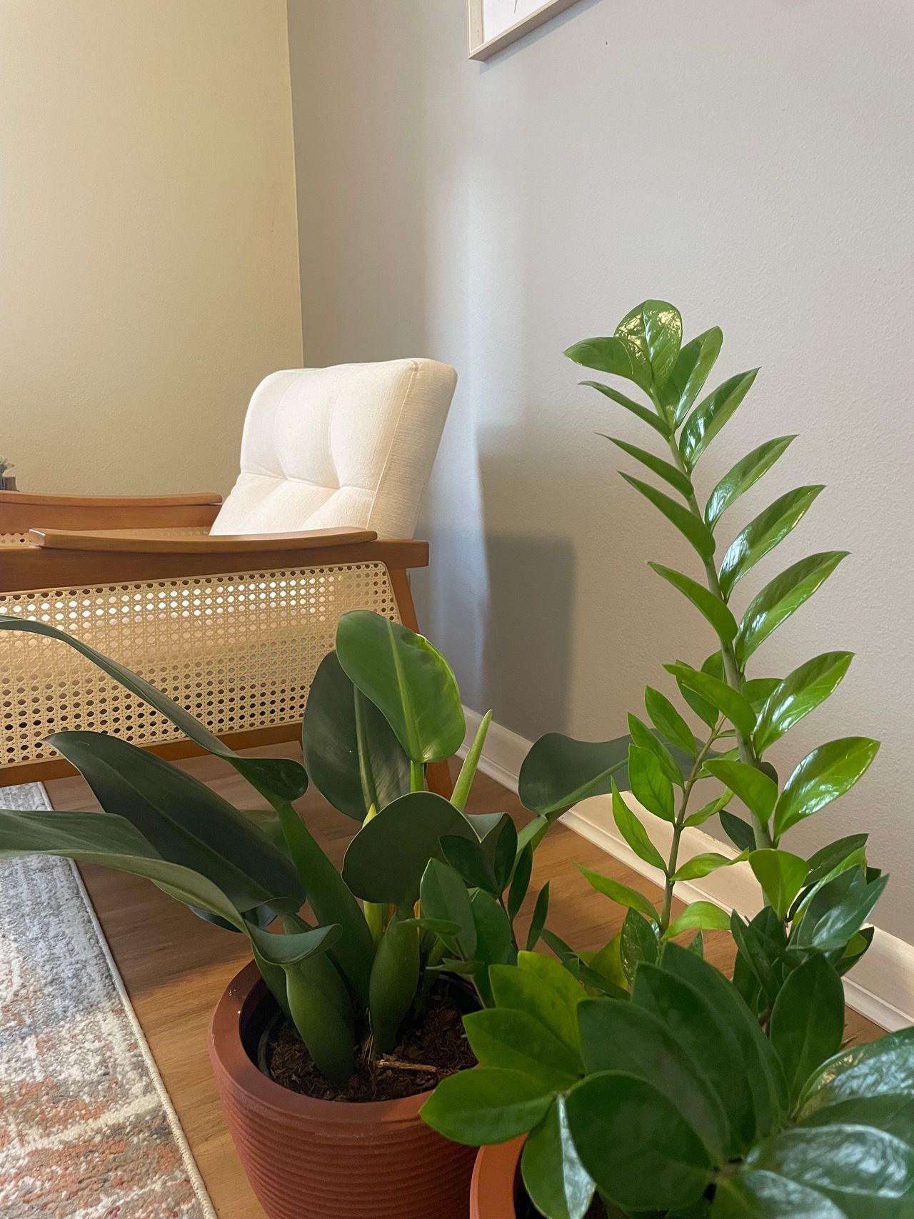 Flavia Villaboy Fernandes-4