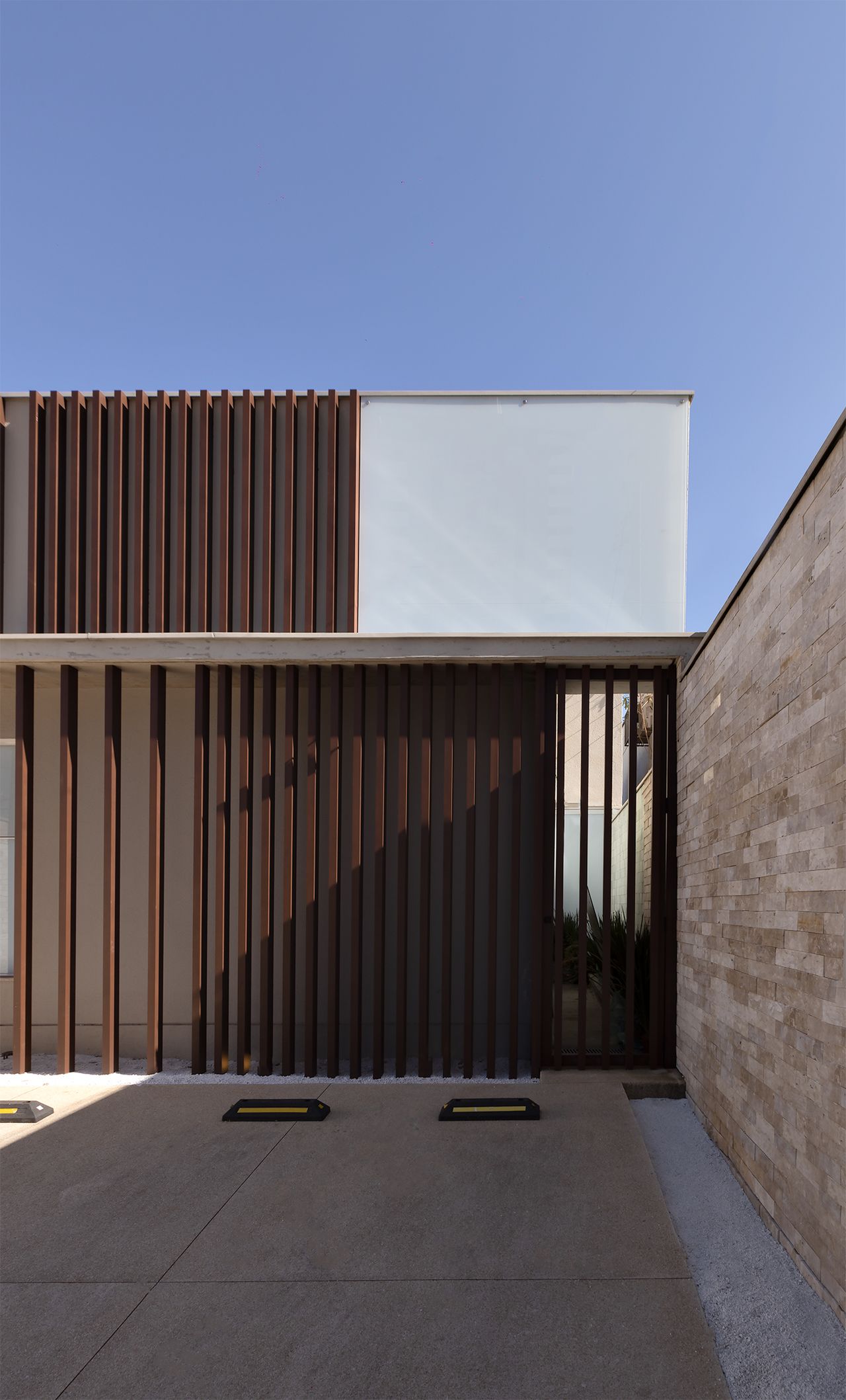 João Shigueo Yonekura-4