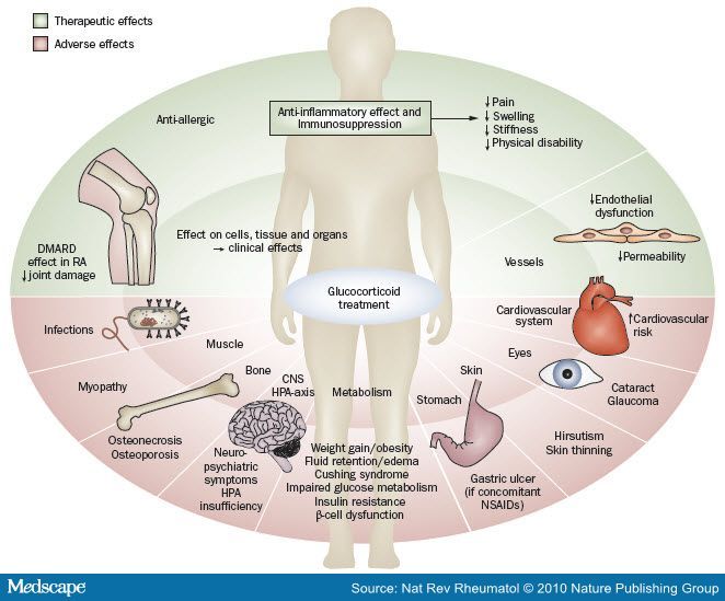 Denise Duarte Iezzi-6