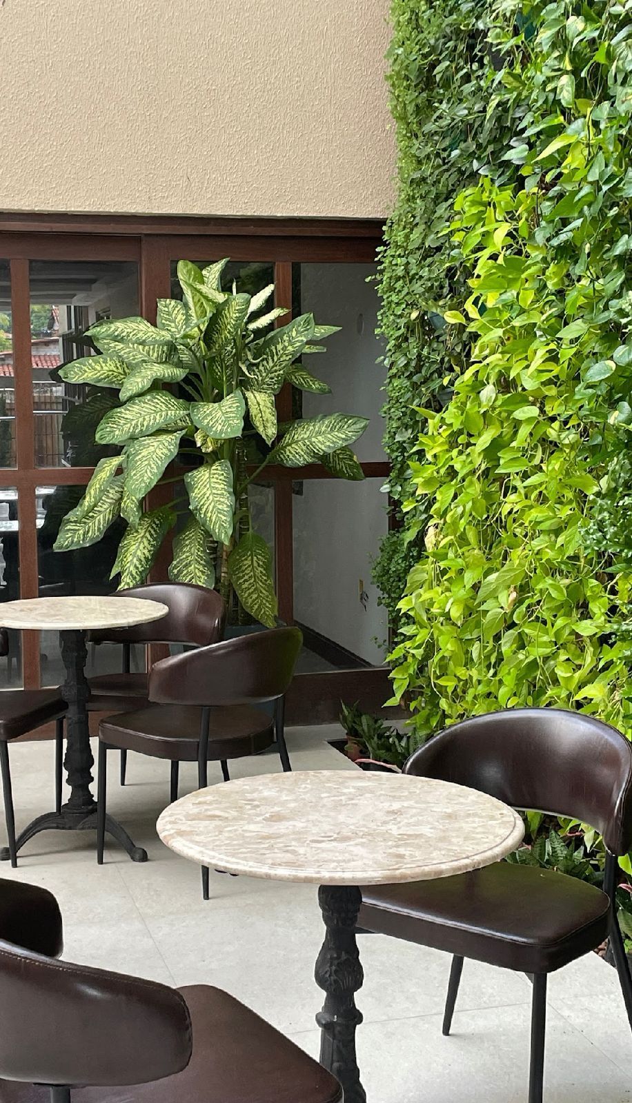 Isabele Maria Rodrigues Tomaz-2