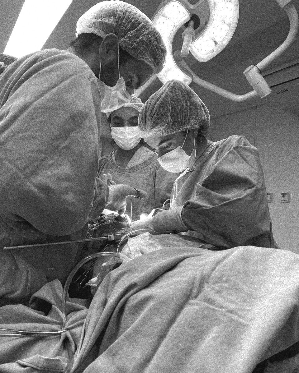 Rômulo Santos Peçanha Rezende-1