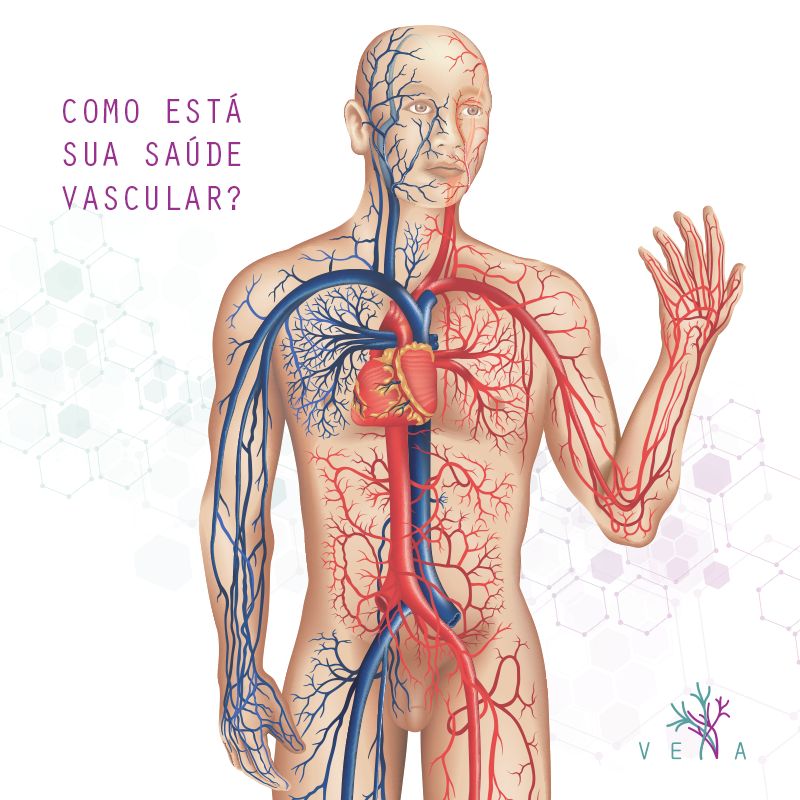 Roberto Scheibler Heck-3