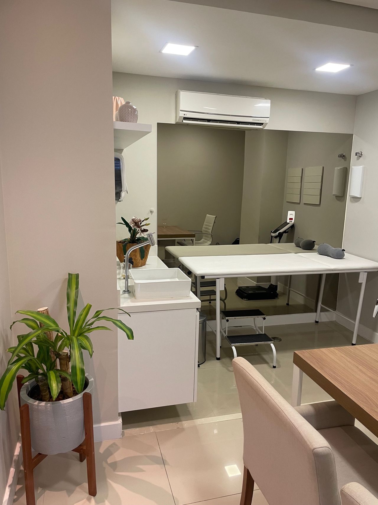 Diana Carla Girardi De Lima Pires-3