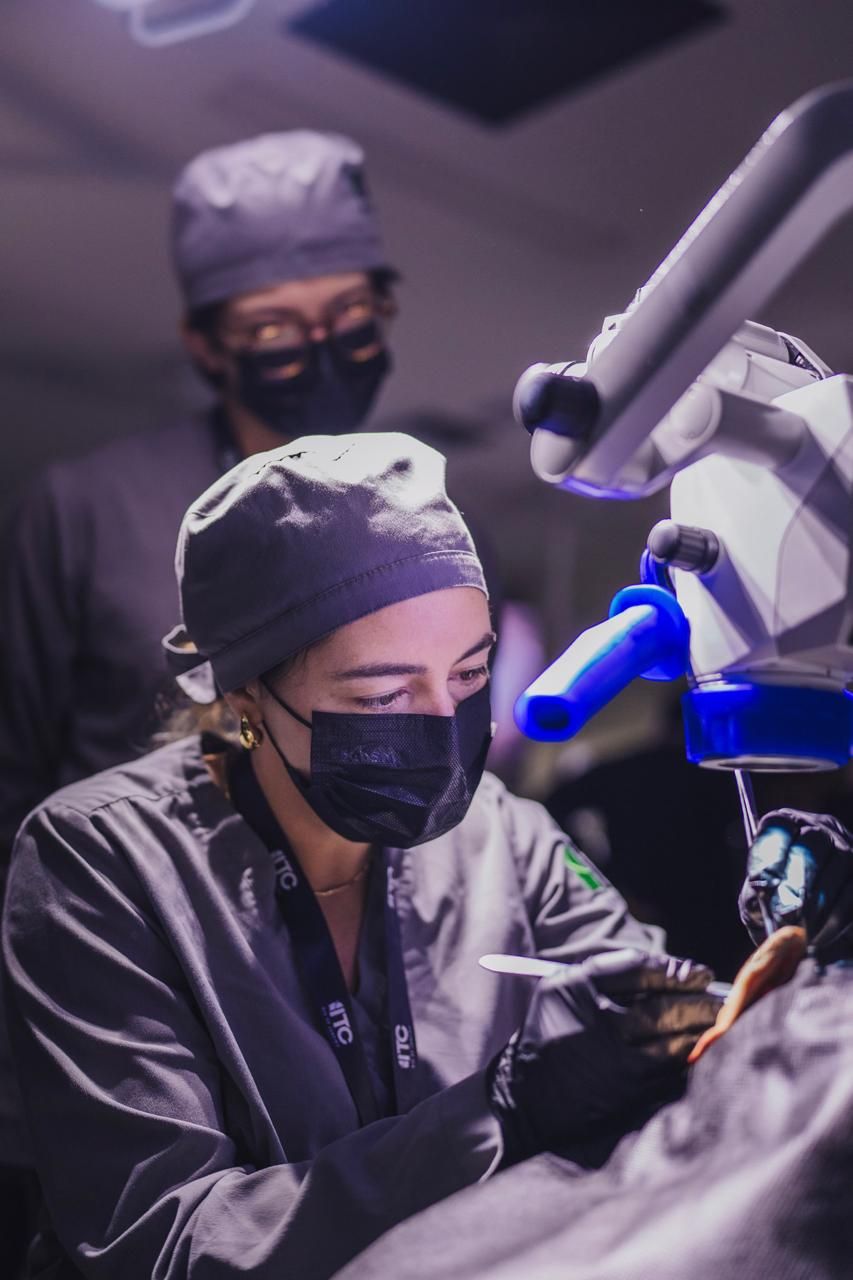 Julia  Oliveira Proviette-0