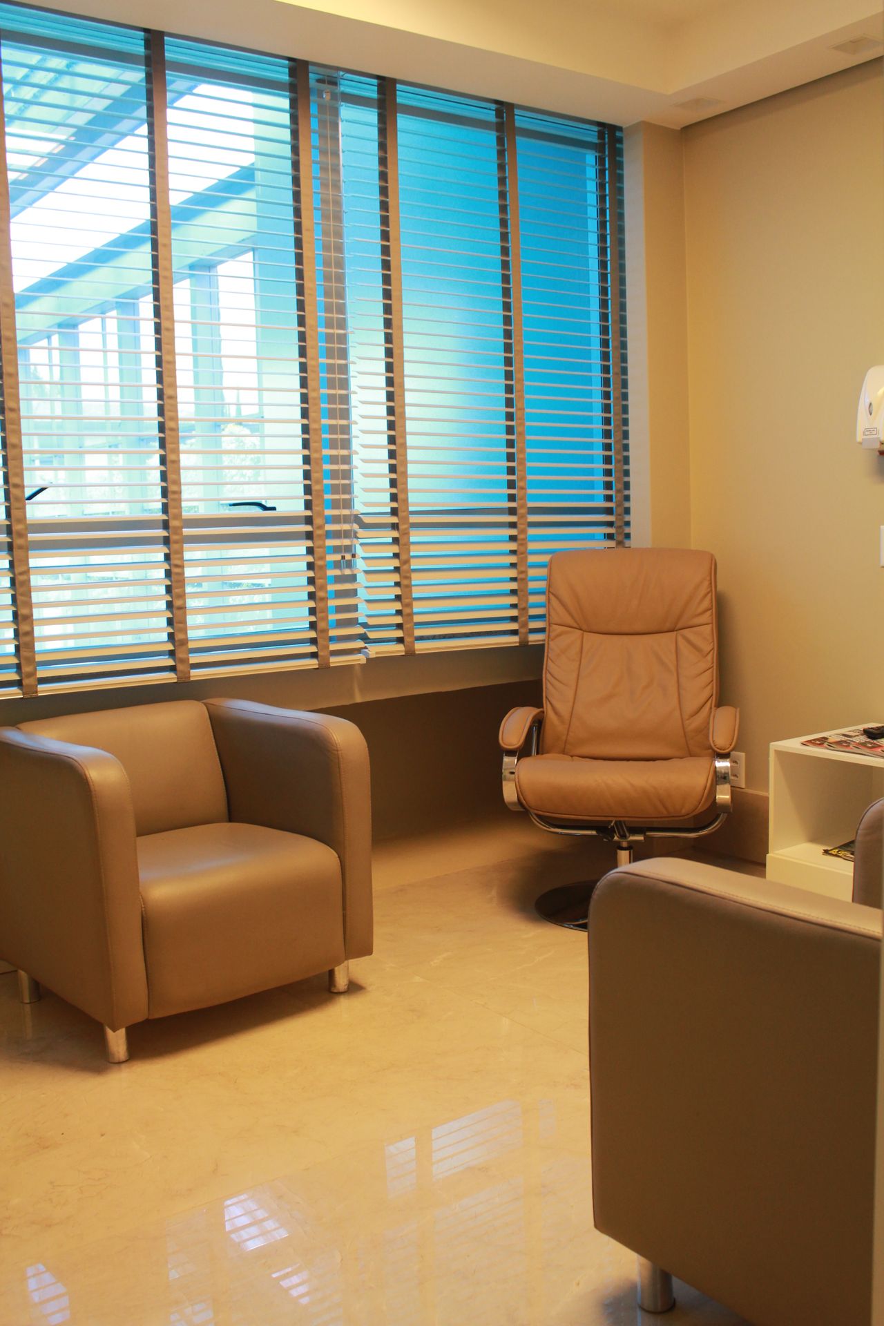 Brasil Ramos Caiado-4