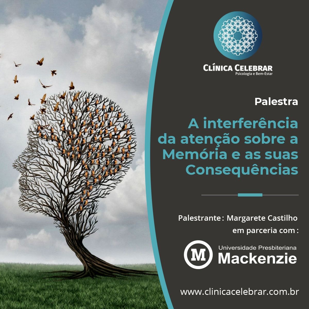 Margarete Motta Thomaz Castilho-3