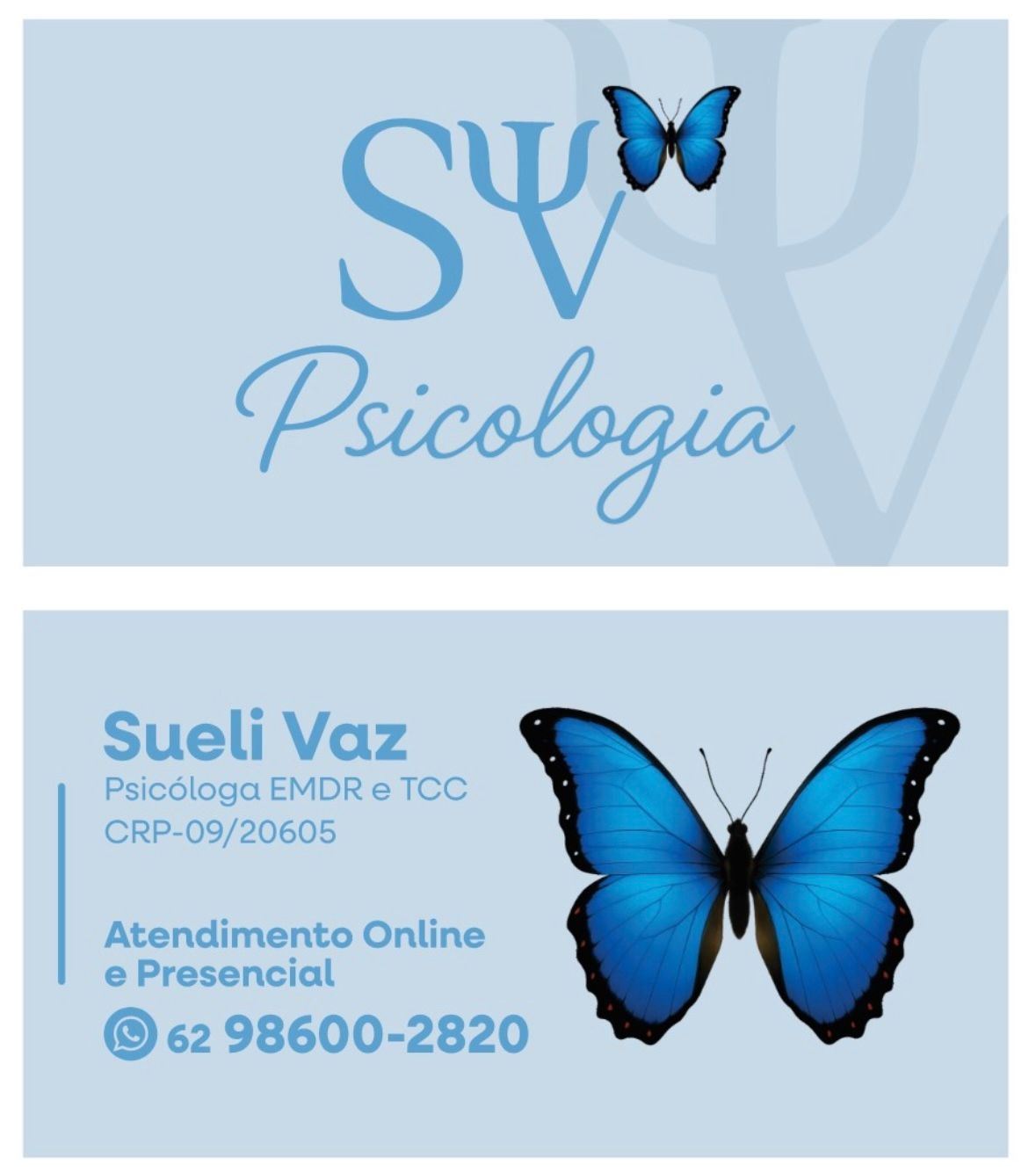 Sueli  Dos Santos Freitas Vaz -0