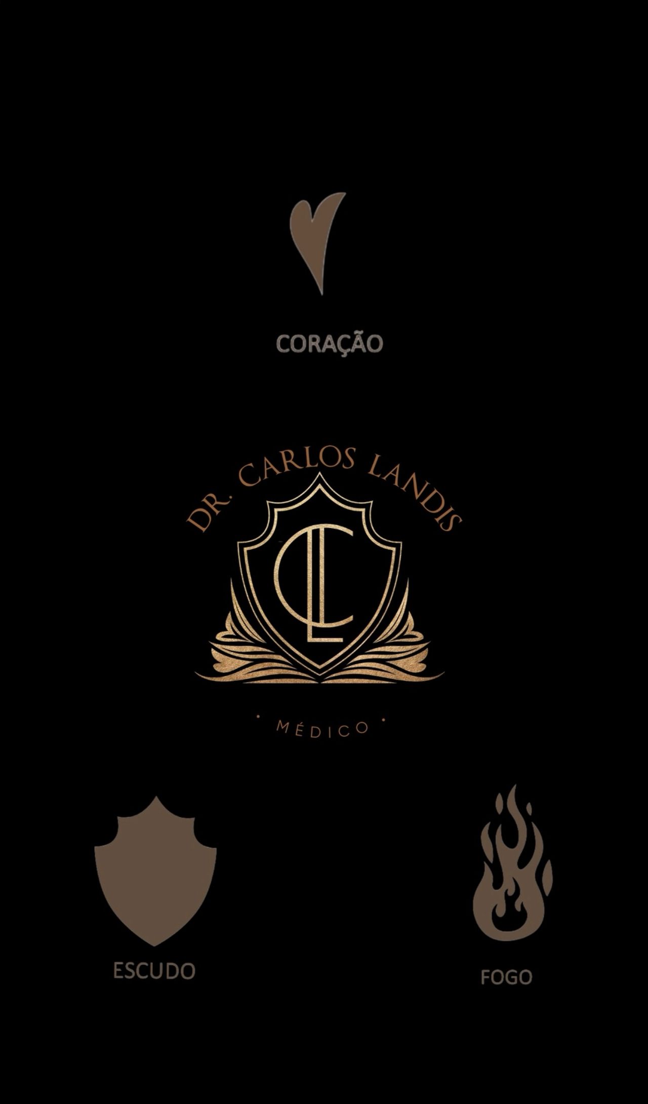 Carlos Henrique Landis De Souza-2