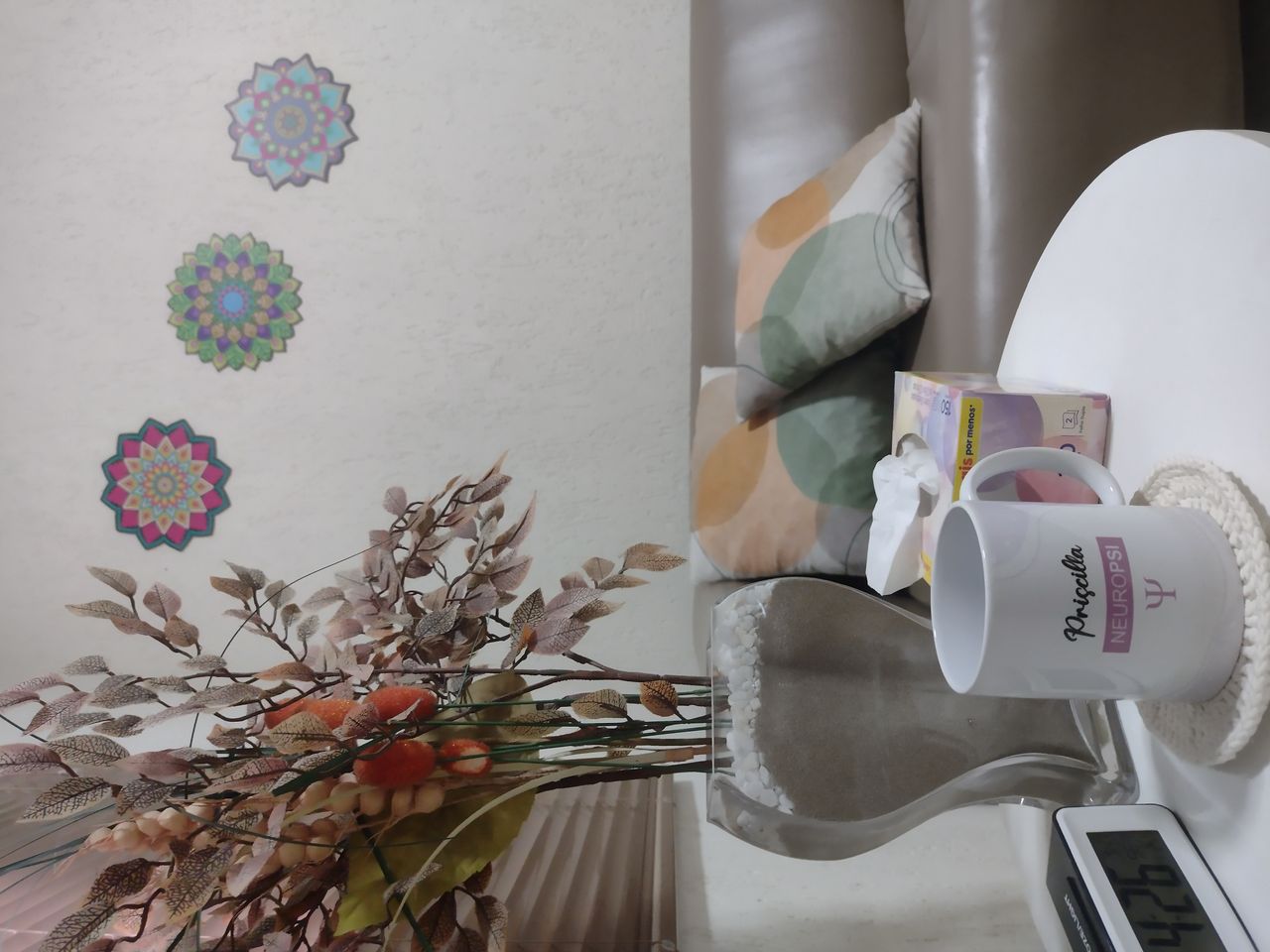 Priscilla Covre Pierre-2