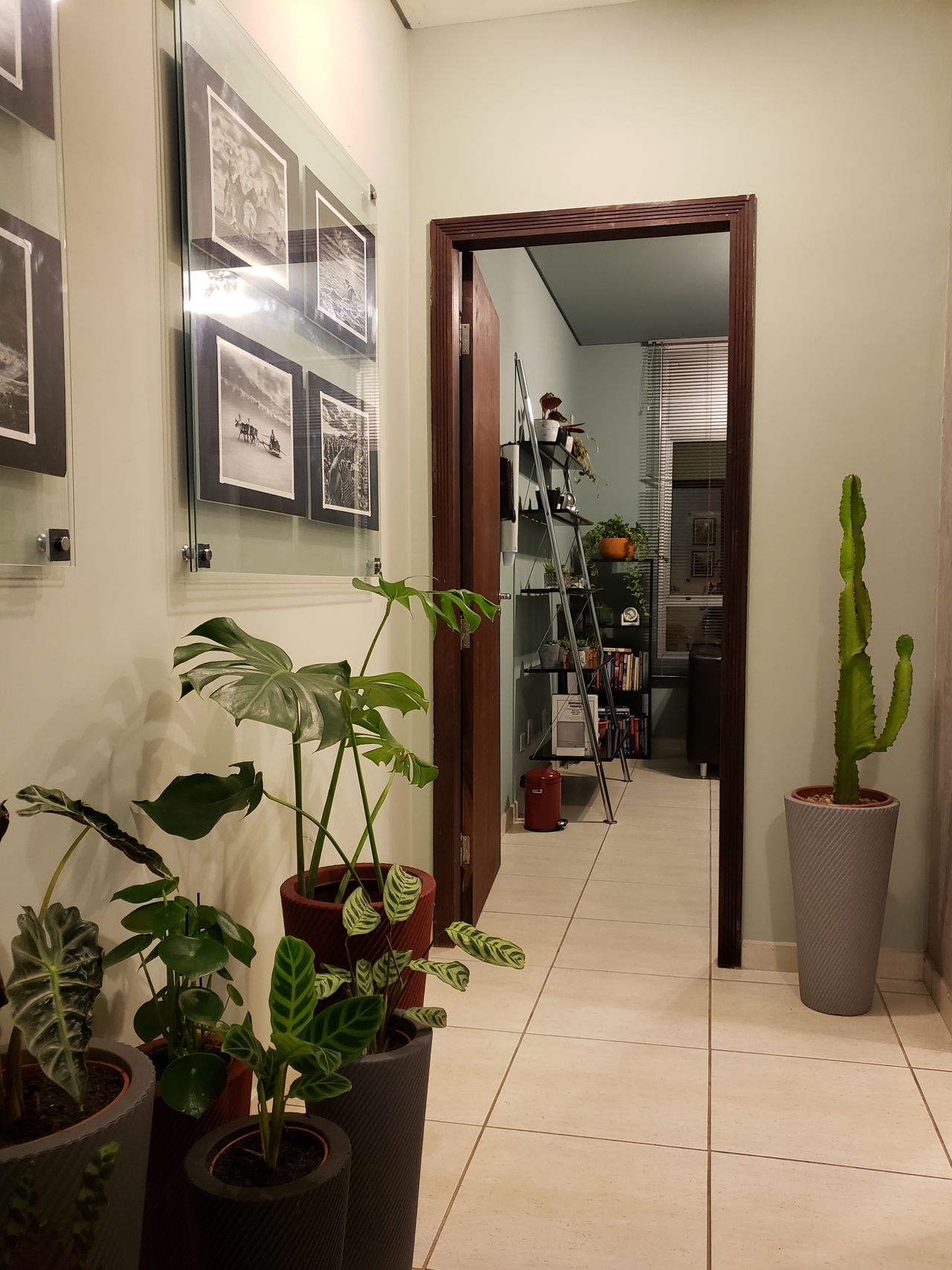 Vanessa De Andrade-7