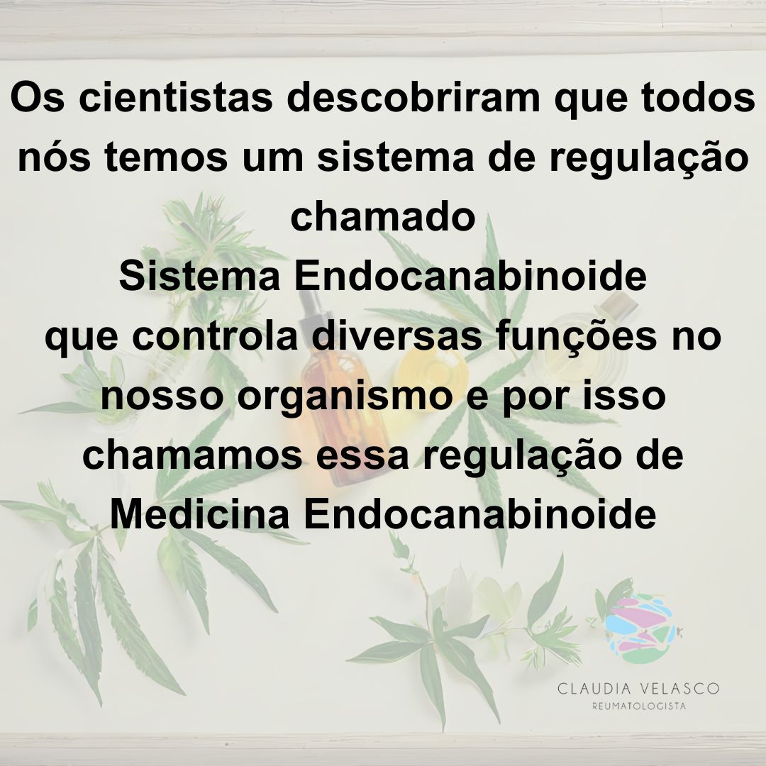 Claudia Rodrigues De Velasco-5