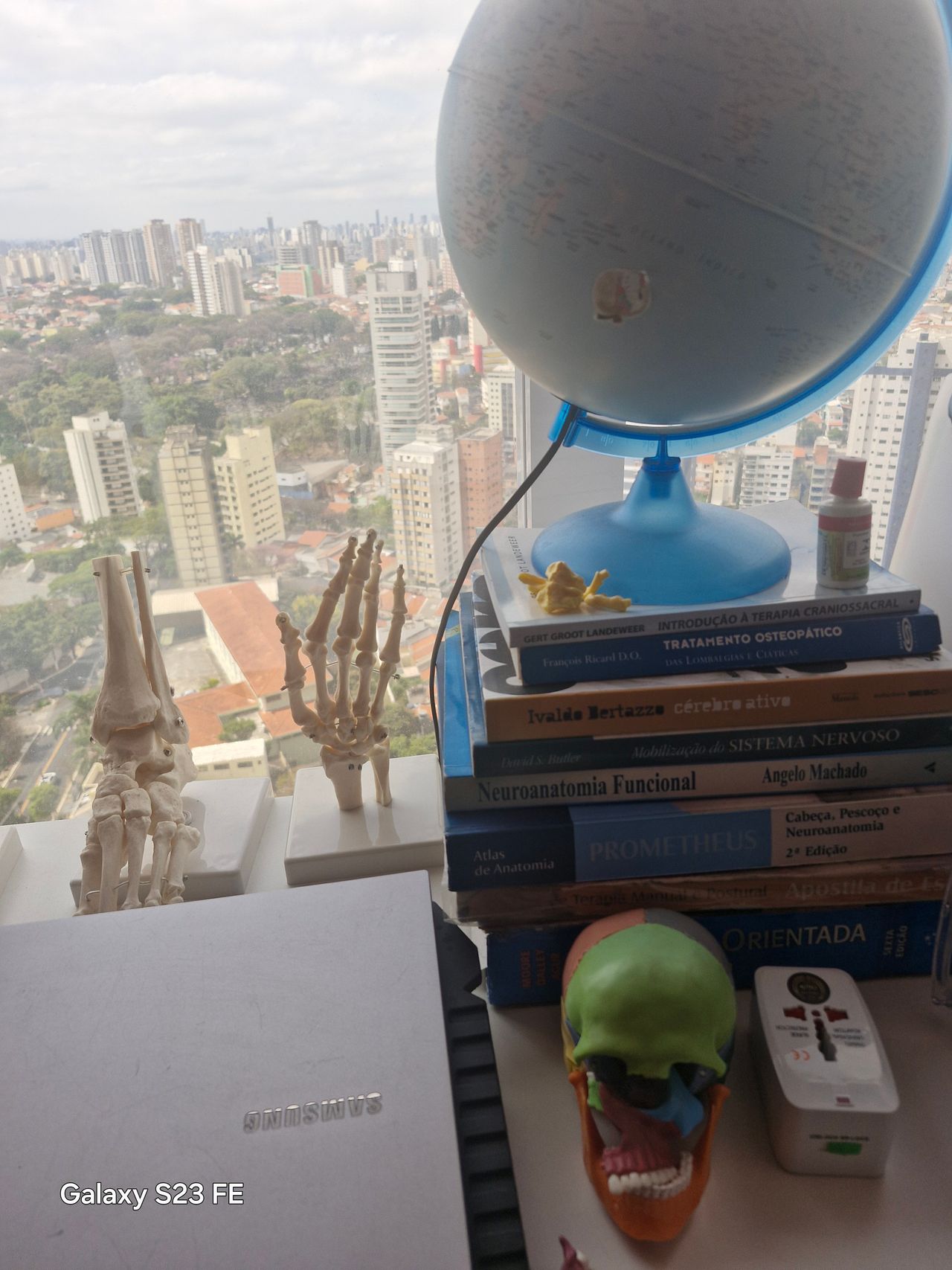 Aline Cristina Gomes Dos Santos Gadret-0