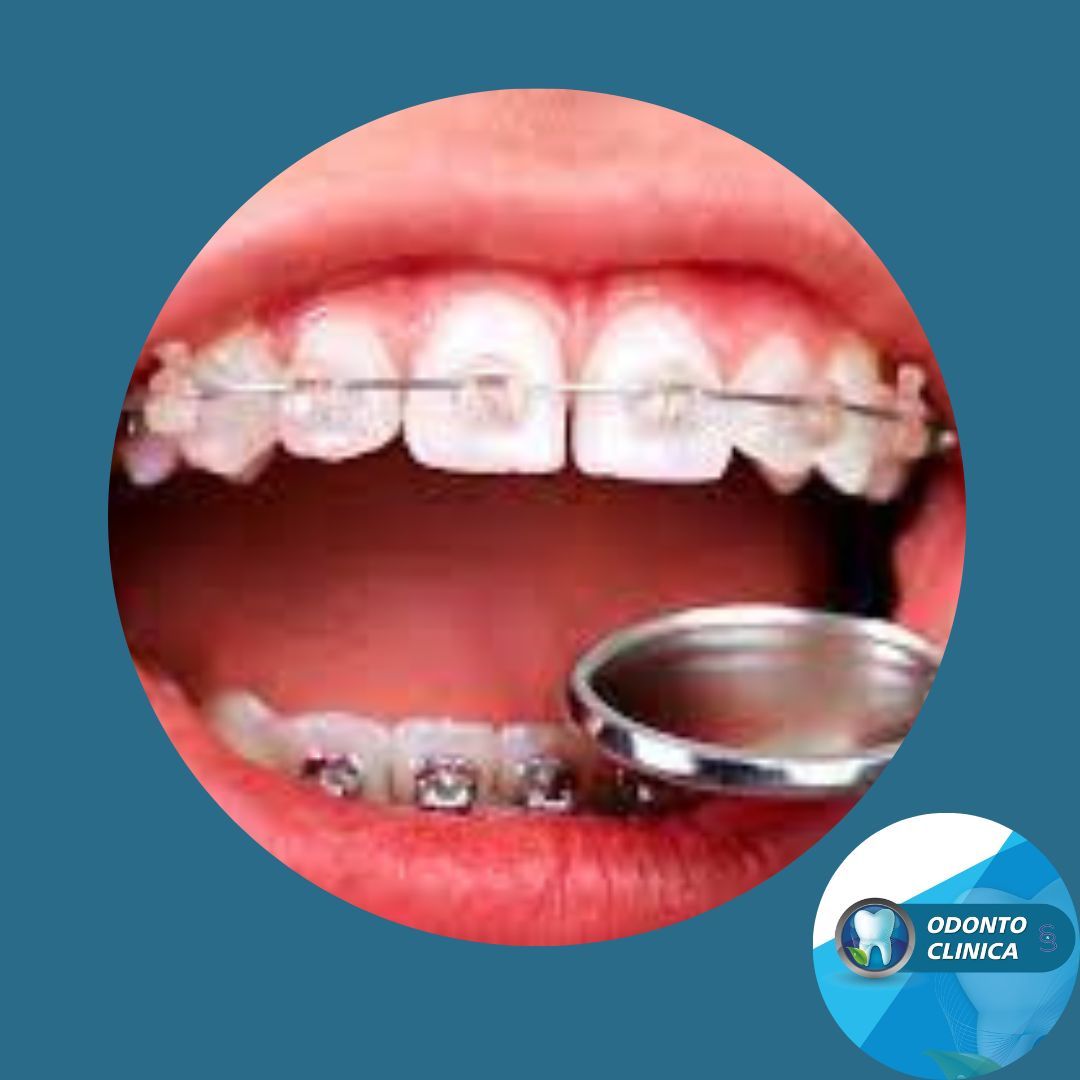 Cecilia Inés Socias Altamirano-3