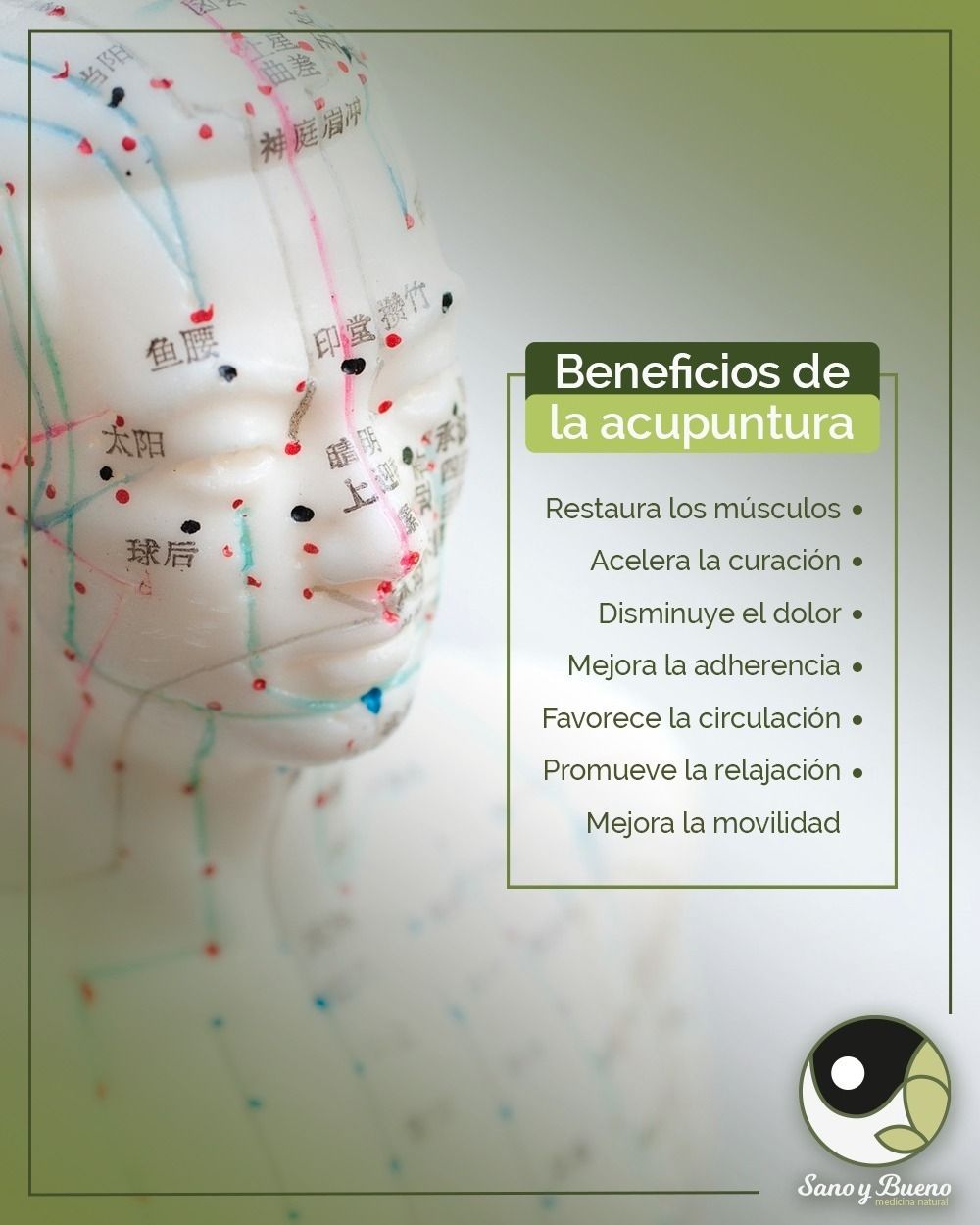 Guillermo Portugal-18