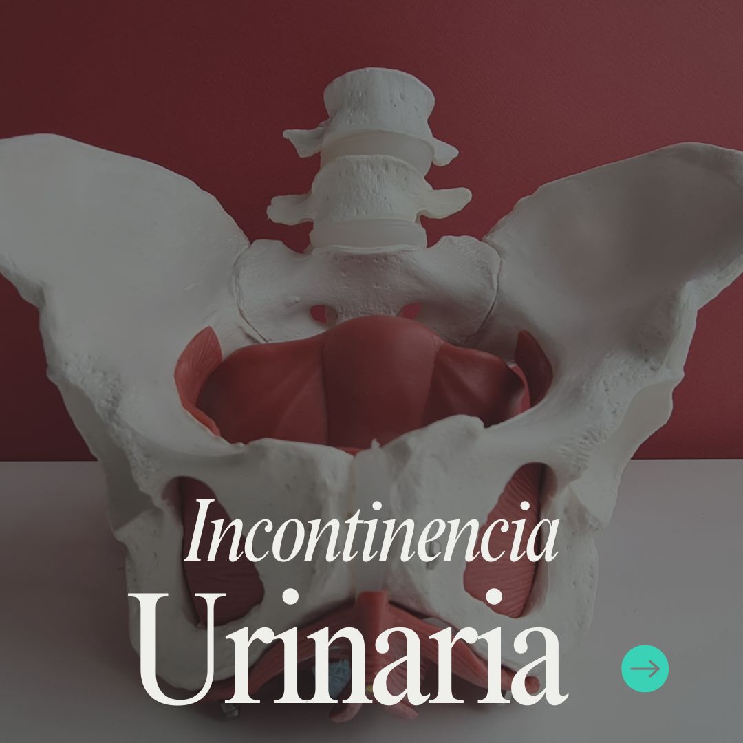 Nicole De Los Angeles Vasquez-12