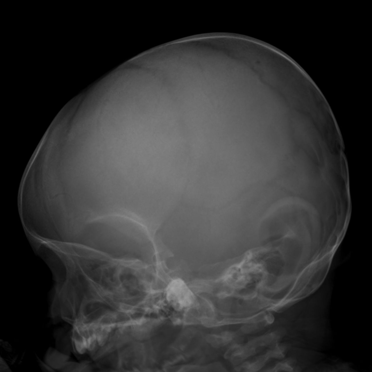 David Tafur Muñoz-1108