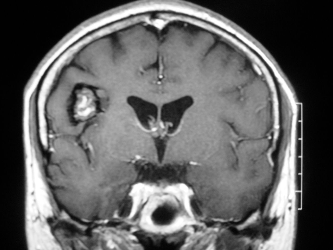 Leonardo Conrado Silva Lima-2