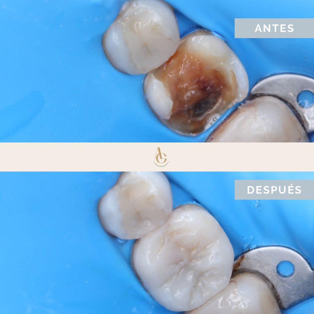 Ángela María Guevara Arredondo-13