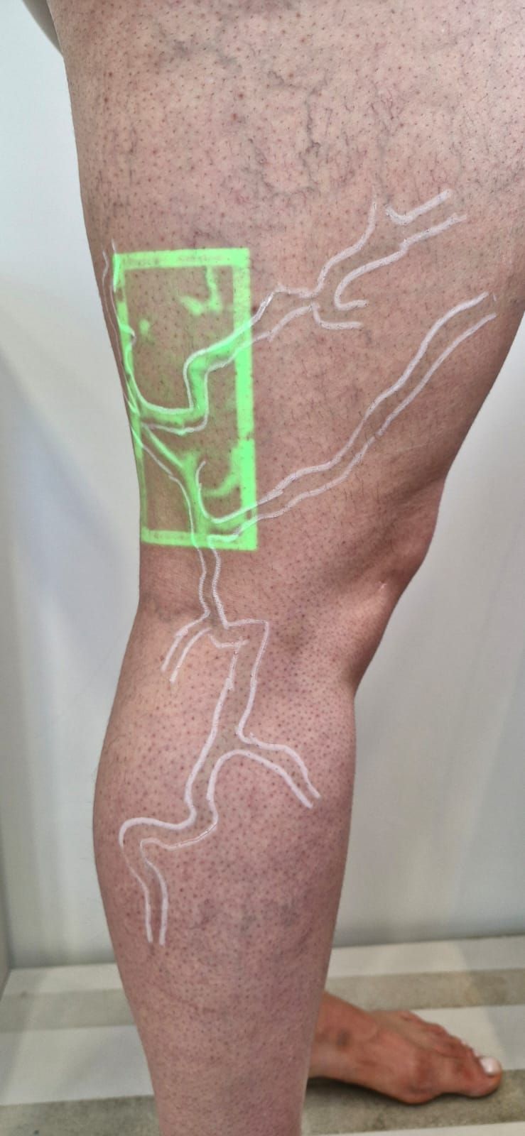 Fernanda De Oliveira Brito-1