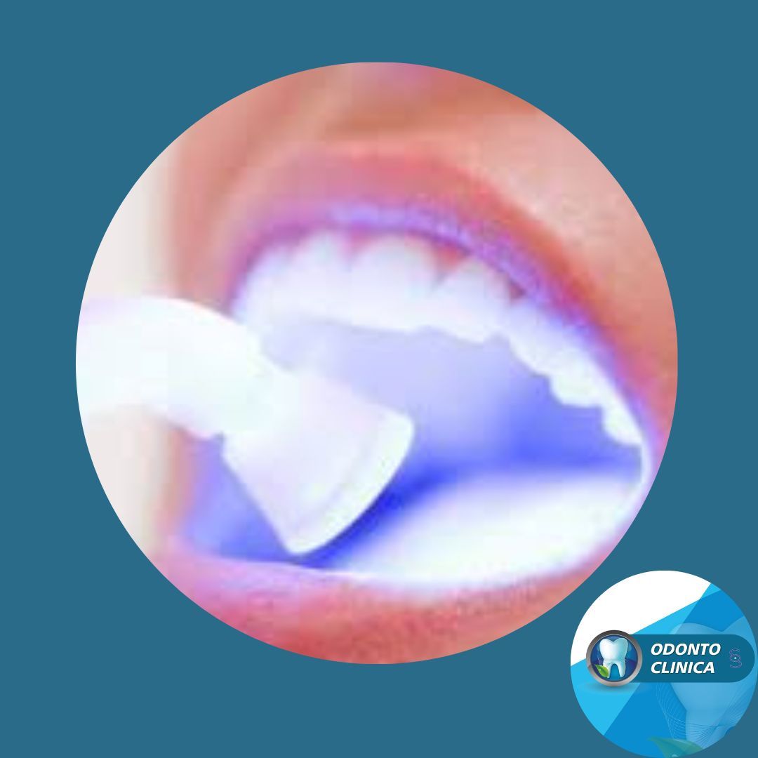 Cecilia Inés Socias Altamirano-12