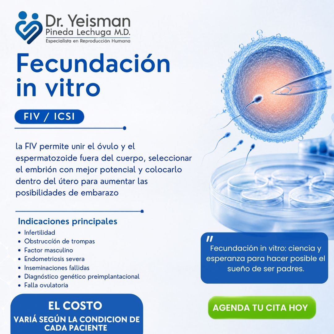 Yeisman Pineda Lechuga-11