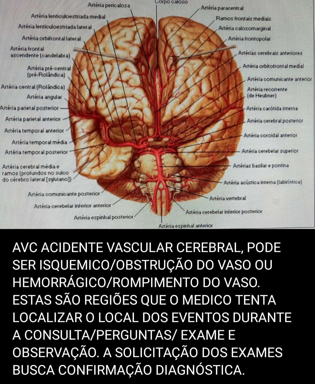 Eduardo Luiz Espíndola-8