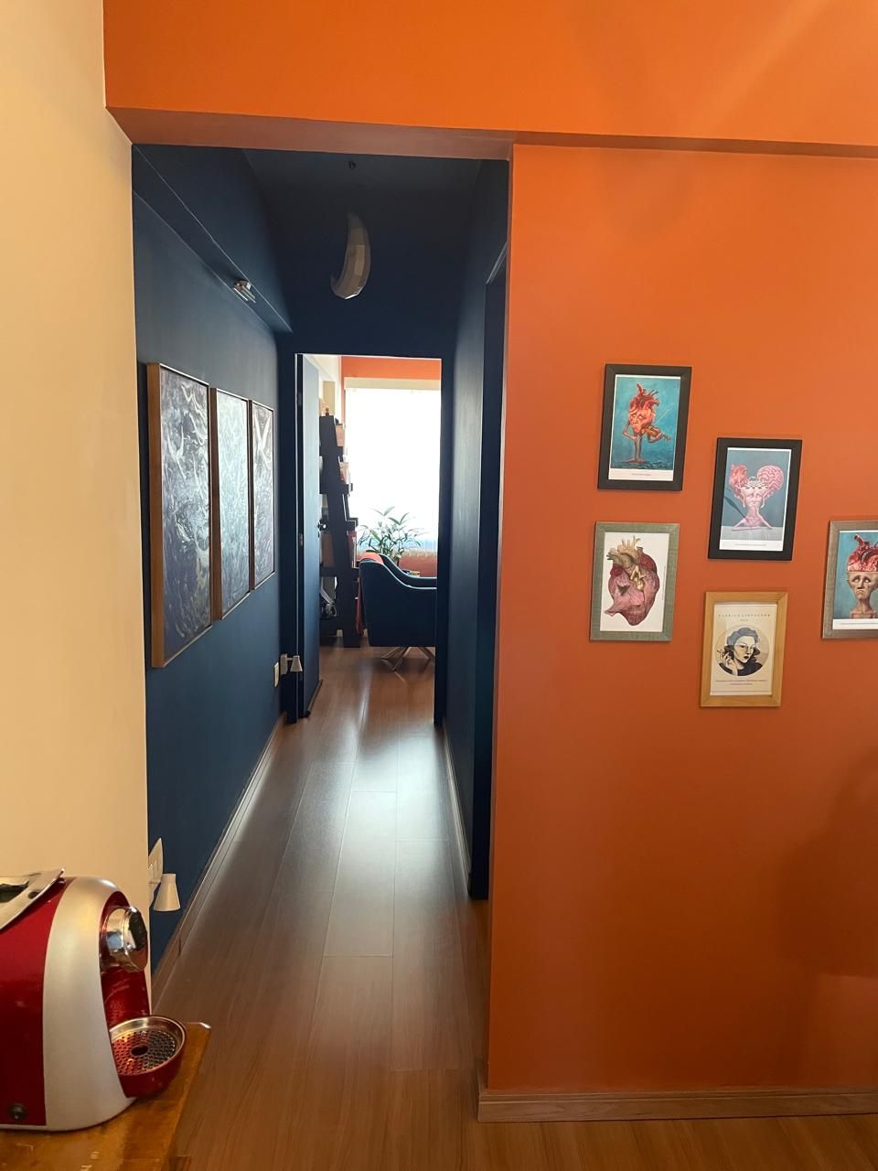 Maria Paula  Carrijo-4