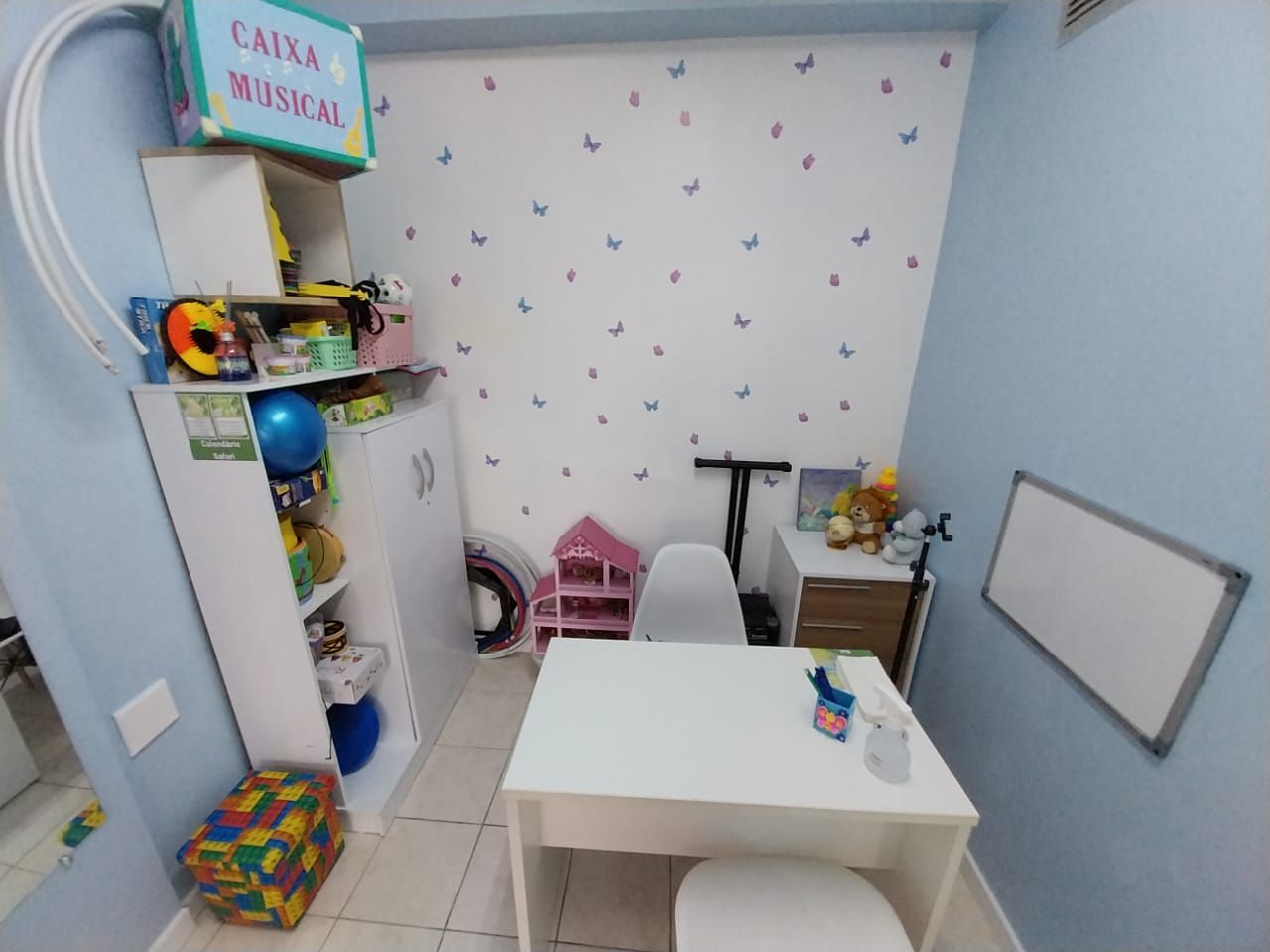 Rafaela  Arruda Zanelatto-3