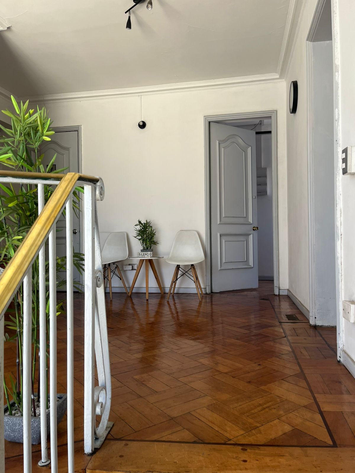 Alicia Paz Avalos Caballero-2