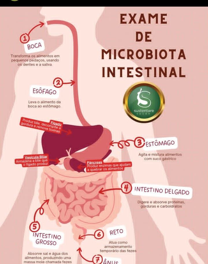 Dayana Brazão Hanemann-59