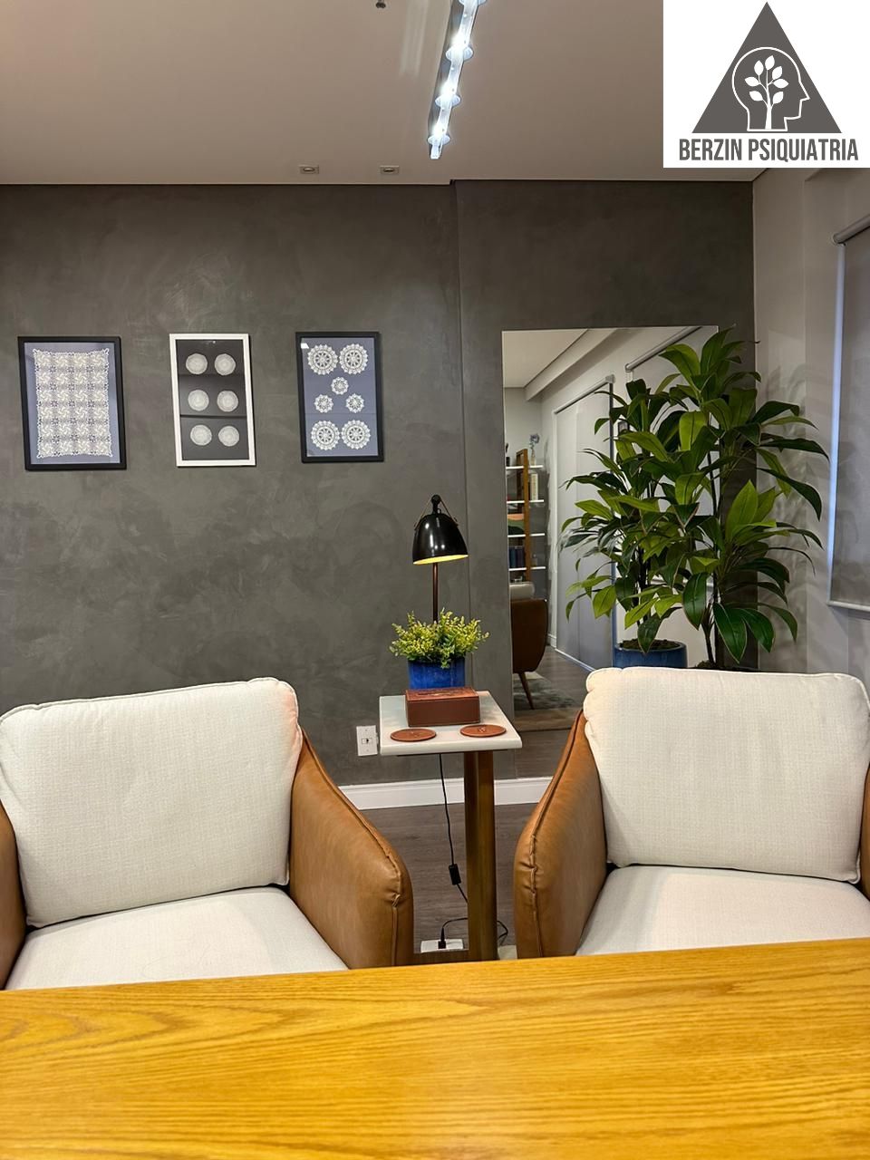 Carlos Eduardo Berzin-3