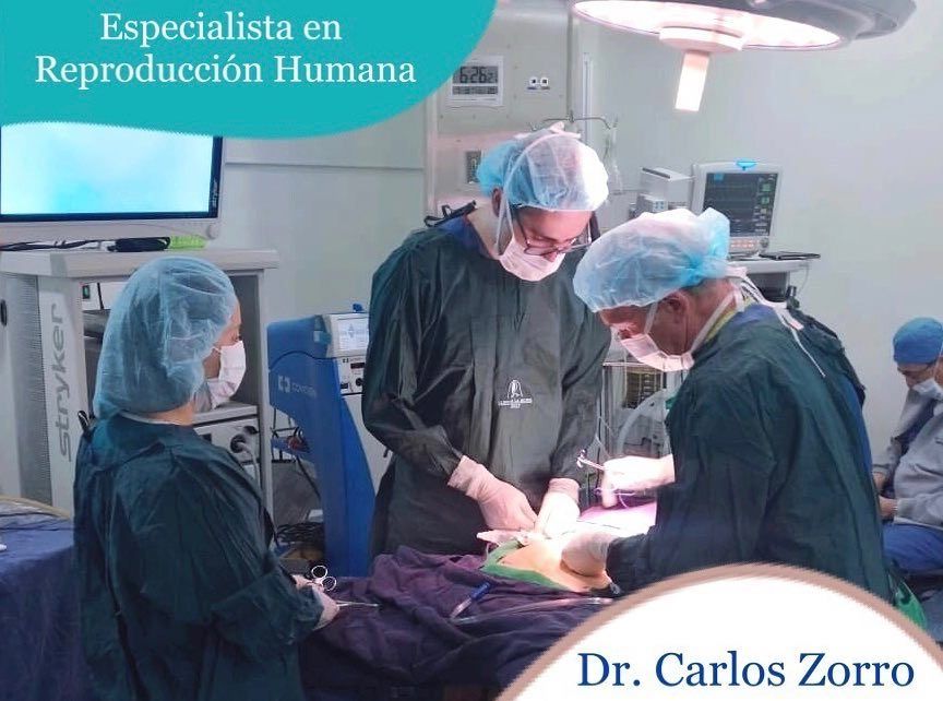 Carlos Andres Zorro Rodriguez-20