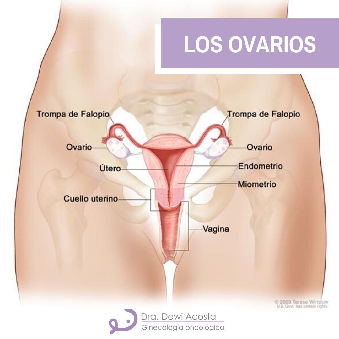 Dewi Acosta Mendoza-10