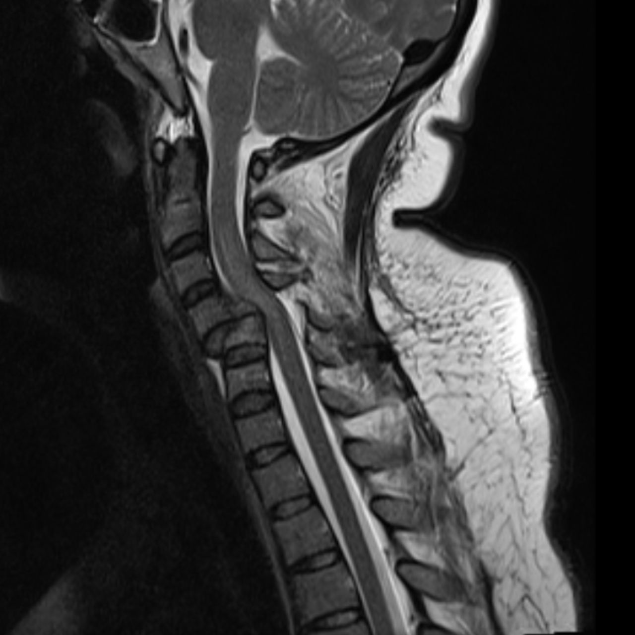 David Tafur Muñoz-1588