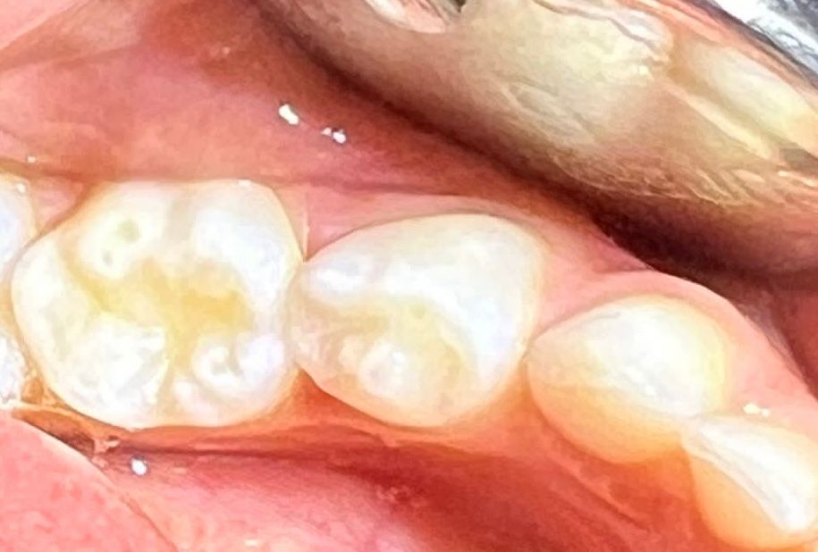 Maria Claudia Ramirez Rodriguez-2