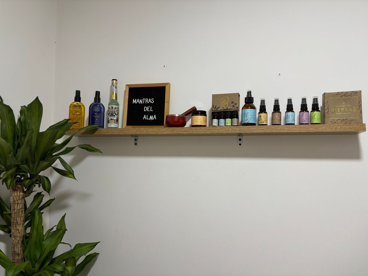 Daniela Gómez Marín-5