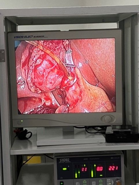 Guilherme Amadeu Poleto-58